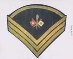 Free download 1872 - 1902 Chevrons of the Armyof the United States free photo or picture to be edited with GIMP online image editor