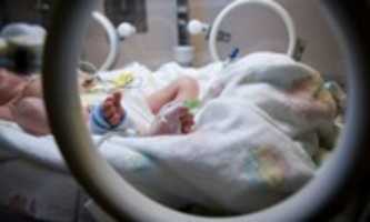 3504 GIMP online editor free Free download 3504 free photo or picture to be edited with GIMP online image editor