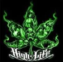 Free download 420 High Life Green free photo or picture to be edited with GIMP online image editor