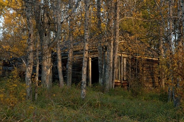 Free download Abandoned Cabin Wood -  free photo or picture to be edited with GIMP online image editor
