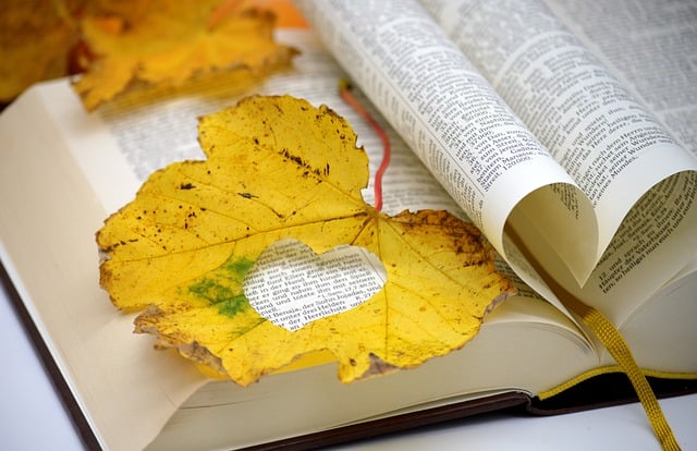 Free download a book book pages autumn leaves free picture to be edited with GIMP free online image editor