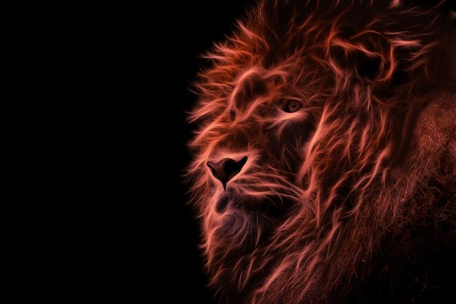 Free download Abstract Lion Fractal Art Male -  free illustration to be edited with GIMP free online image editor