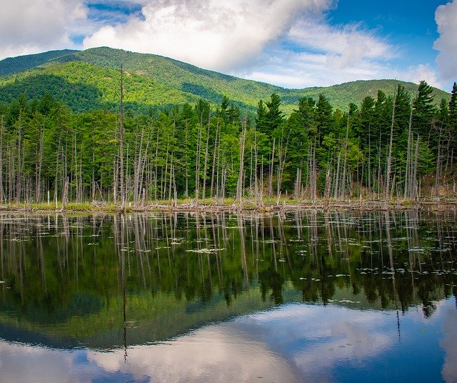 Free download Adirondacks Trees Lake -  free photo or picture to be edited with GIMP online image editor