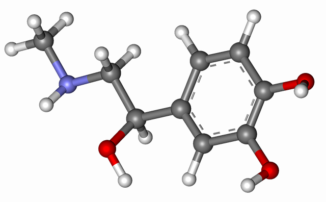 Free download Adrenaline Epinephrine Molecule -  free illustration to be edited with GIMP free online image editor