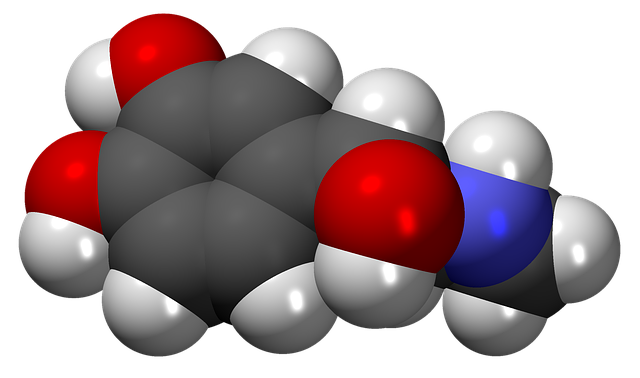 Free download Adrenaline Hormone -  free illustration to be edited with GIMP free online image editor