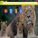 Africa LioN Theme  screen for extension Chrome web store in OffiDocs Chromium