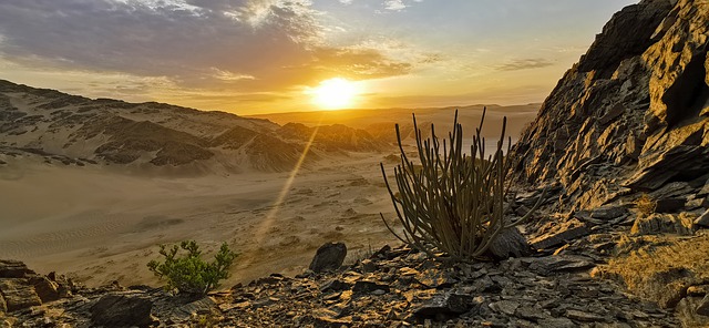 Free download africa namibia skeleton coast sand free picture to be edited with GIMP free online image editor