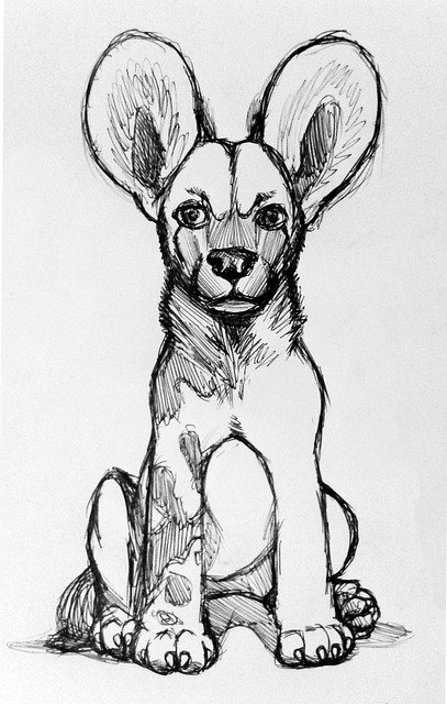 Free download African Wild Dog Drawing -  free illustration to be edited with GIMP free online image editor