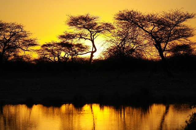 Free download Africa Sunset -  free photo or picture to be edited with GIMP online image editor