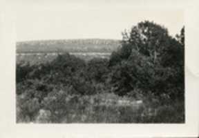 Free download Aftermath of the Augusta, KS tornado 7/13/1924 free photo or picture to be edited with GIMP online image editor