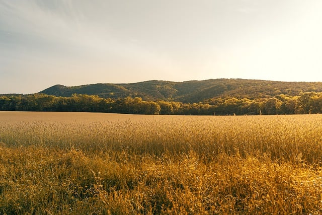 Free download agriculture field farming farmer free picture to be edited with GIMP free online image editor