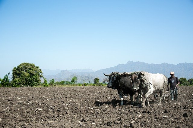 Free download Agriculture Plow Rural -  free photo or picture to be edited with GIMP online image editor