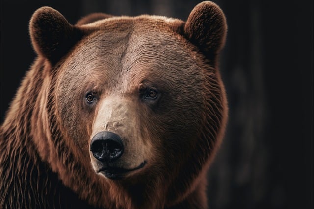 Free download ai generated bear brown bear free picture to be edited with GIMP free online image editor
