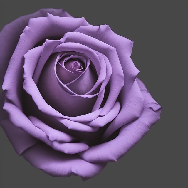 Free download ai generated rose flower free picture to be edited with GIMP free online image editor