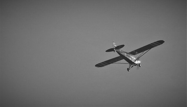 Free download Aircraft Black And White Aerial -  free photo or picture to be edited with GIMP online image editor