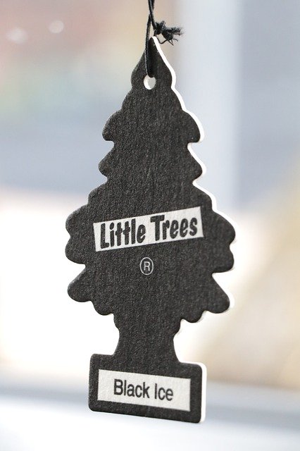 Free download Air Freshner Little Trees Clean -  free photo or picture to be edited with GIMP online image editor