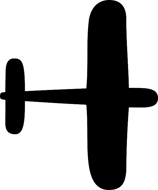 Free download Airplane Plane Aircraft - Free vector graphic on Pixabay free illustration to be edited with GIMP free online image editor