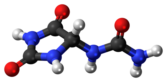 Free download Allantoin Molecule Model -  free illustration to be edited with GIMP free online image editor