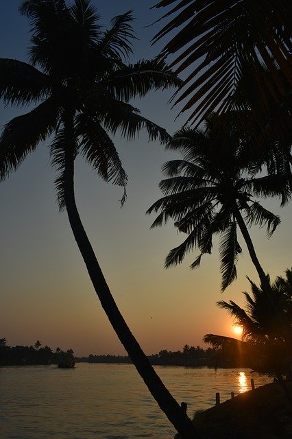 Free download Alleppey Alappuzha Kerala -  free photo or picture to be edited with GIMP online image editor