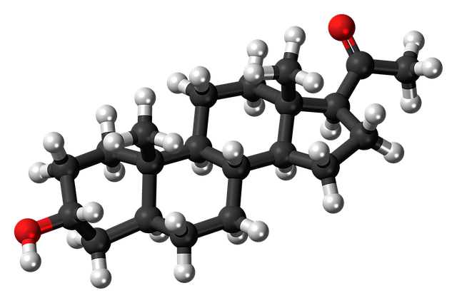 Free download Allopregnanolone Molecule Model -  free illustration to be edited with GIMP free online image editor