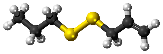 Free download Allylpropyldisulfide Molecule -  free illustration to be edited with GIMP free online image editor