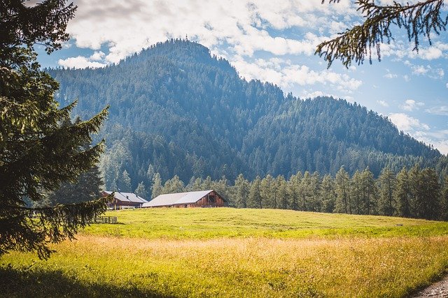 Free download alps mountain grasslands landscape free picture to be edited with GIMP free online image editor