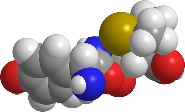 Free download Amoxicillin Antibiotics -  free illustration to be edited with GIMP free online image editor