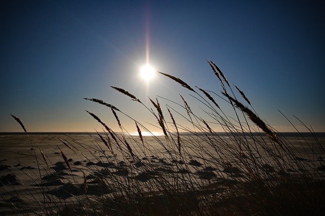 Free download Amrum Sun Beach Marram -  free photo or picture to be edited with GIMP online image editor