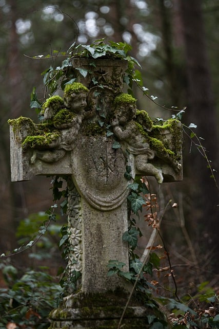 Free download angel cross moss vegetation free picture to be edited with GIMP free online image editor