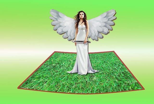 Unduh gratis Angel Meadow White - ilustrasi gratis untuk diedit dengan editor gambar online gratis GIMP