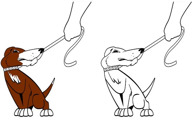 Free download Angry Pose Animals -  free illustration to be edited with GIMP free online image editor