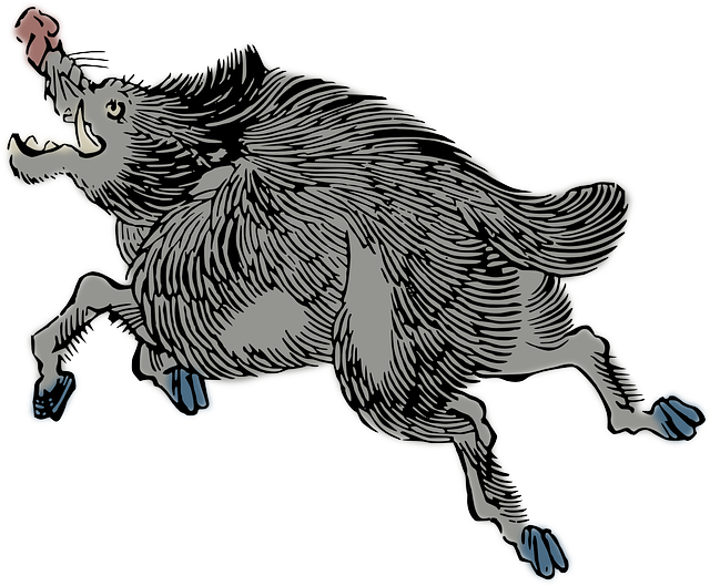 Free download Animal Boar Pig - Free vector graphic on Pixabay free illustration to be edited with GIMP free online image editor