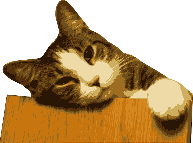 Free download Animal Cat Feline - Free vector graphic on Pixabay free illustration to be edited with GIMP free online image editor