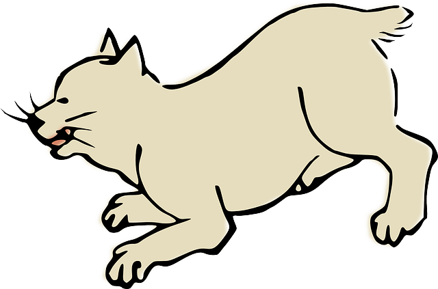 Free download Animal Cat - Free vector graphic on Pixabay free illustration to be edited with GIMP free online image editor