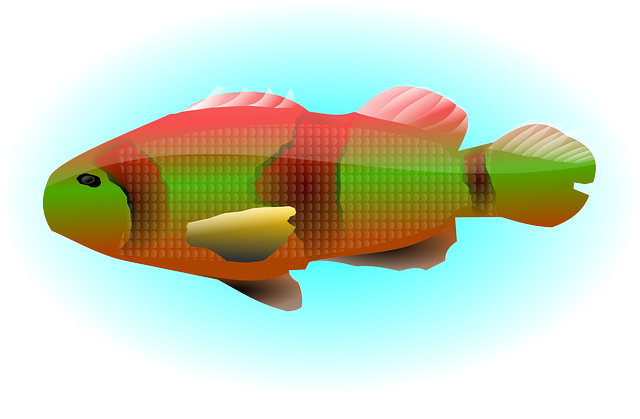 Free download Animal Colorful Fish - Free vector graphic on Pixabay free illustration to be edited with GIMP free online image editor