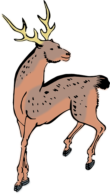 Libreng download Animal Deer - Libreng vector graphic sa Pixabay libreng ilustrasyon na ie-edit gamit ang GIMP na libreng online na editor ng imahe