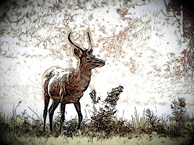 Faça o download gratuito do Animal Deer Trace - ilustração gratuita para ser editada com o editor de imagens on-line gratuito do GIMP