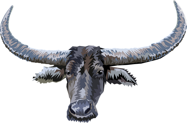 Free download Animal Head Buffalo - Free vector graphic on Pixabay free illustration to be edited with GIMP free online image editor