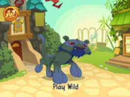 Free download Animal Jam 1 free photo or picture to be edited with GIMP online image editor