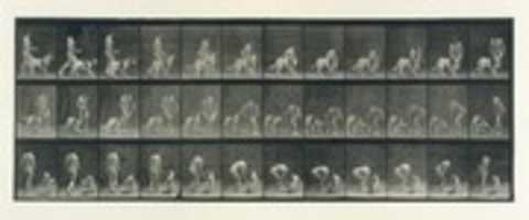 Free download Animal Locomotion.  An Electro-Photographic Investigation of Consecutive Phases of Animal Movements.  Commenced 1872 - Completed 1885.  Volume IV, Women (Nude) free photo or picture to be edited with GIMP online image editor