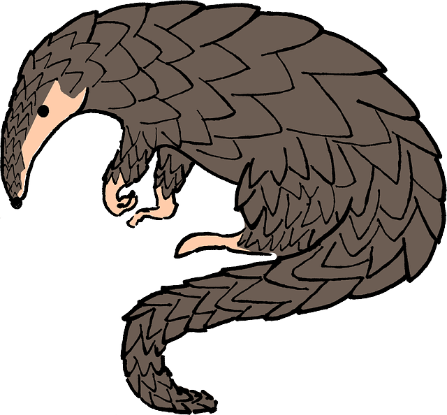 Free download Animal Pangolin - Free vector graphic on Pixabay free illustration to be edited with GIMP free online image editor