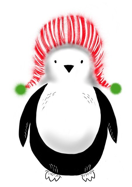 Free download Animal Penguin Nature -  free illustration to be edited with GIMP free online image editor