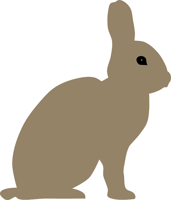 Free download Animal Rabbit Bunny - Free vector graphic on Pixabay free illustration to be edited with GIMP free online image editor