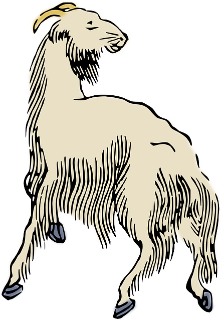 Free download Animal Sheep - Free vector graphic on Pixabay free illustration to be edited with GIMP free online image editor