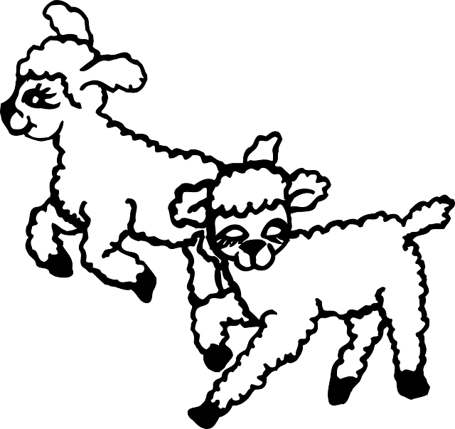 Free download Animals Jumping Lambs - Free vector graphic on Pixabay free illustration to be edited with GIMP free online image editor