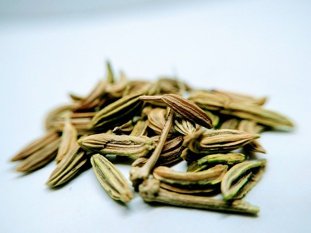 Free download Aniseed Fennel Spices -  free photo or picture to be edited with GIMP online image editor