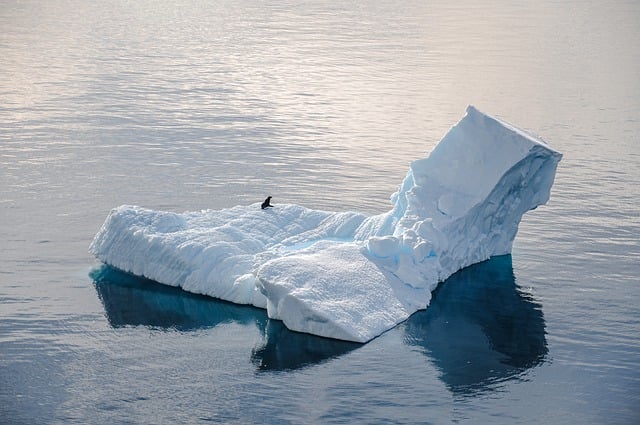 Free download antarctica seal iceberg cold ice free picture to be edited with GIMP free online image editor