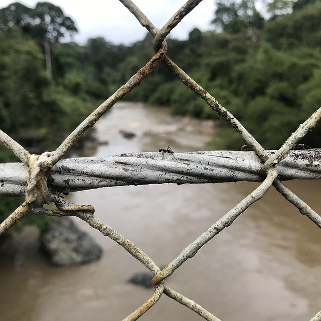 Free download Ant Fence Nature -  free photo or picture to be edited with GIMP online image editor