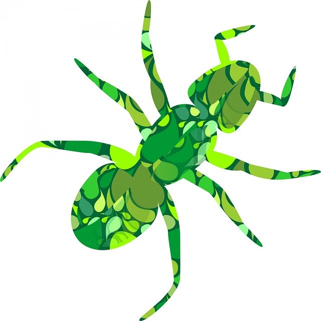 Free download Ant Insect White -  free illustration to be edited with GIMP free online image editor