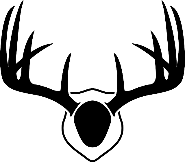 Free download Antlers Deer Whitetail - Free vector graphic on Pixabay free illustration to be edited with GIMP free online image editor